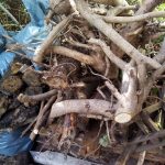 how much does Garden Clearance cost in Islington