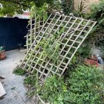 how much does Garden Clearance cost in Cockfosters